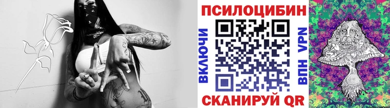 мега ТОР  Мещовск  Галлюциногенные грибы GOLDEN TEACHER 